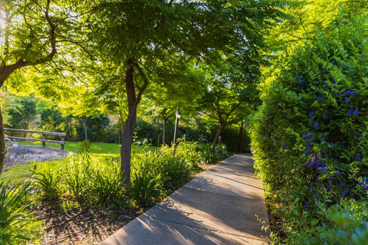 Апартаменты Gonen Kibbutz Country Lodging Экстерьер фото