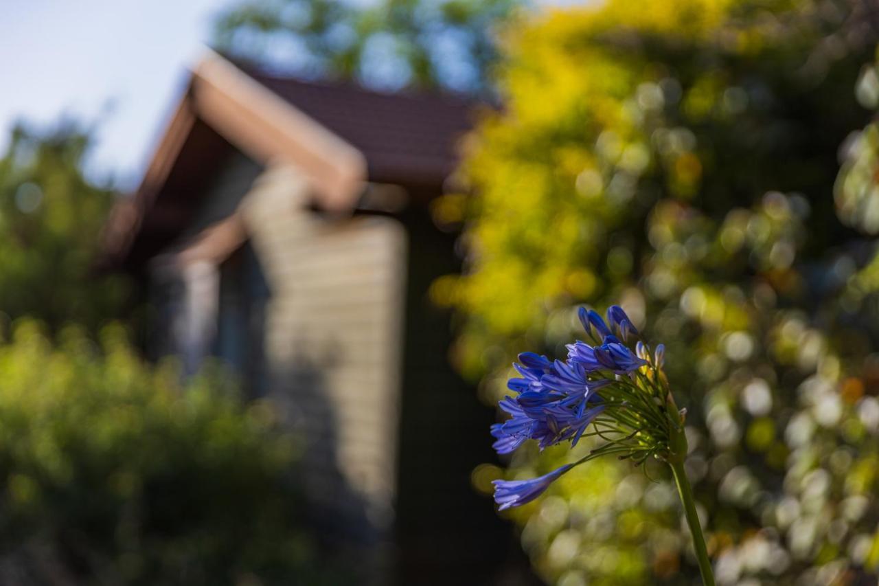 Апартаменты Gonen Kibbutz Country Lodging Экстерьер фото